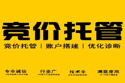 案例剖析：SEM优化策略助力网站流量提升